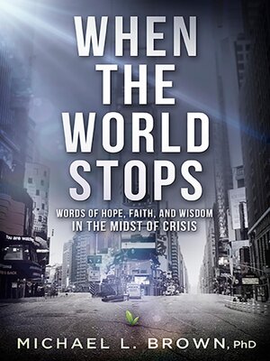 cover image of When the World Stops